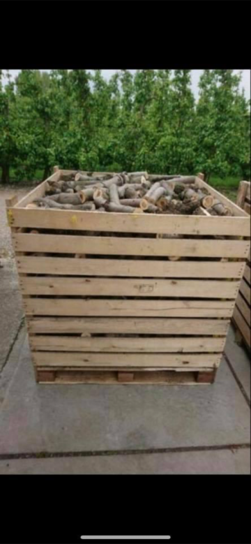 092aeb65 ebe0 4ce2 85f3 2cff1dcf1c81