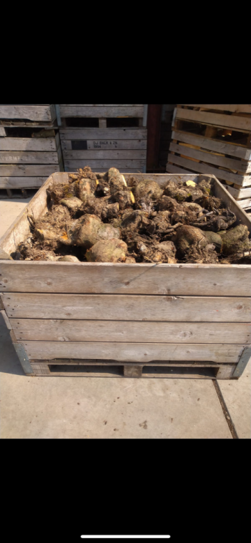 A5b2afec 1a9a 4cfb 994e d15156d2b264