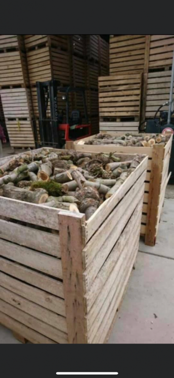 Bad8677c 4490 40b1 a1dc e71829f8ebe3