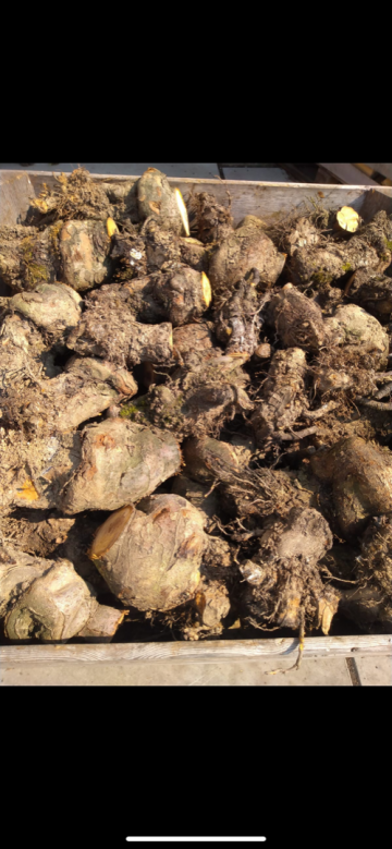 Cdccd27a 3acc 49ec a5f2 5526555f84f0